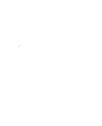 logo blanc la baleine a plumes